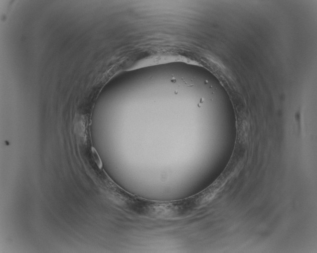 X0000065250121200603031813