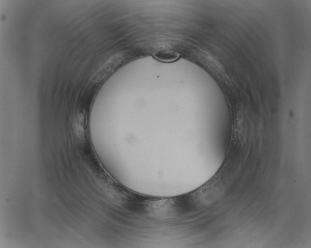 X0000065250122200603031813