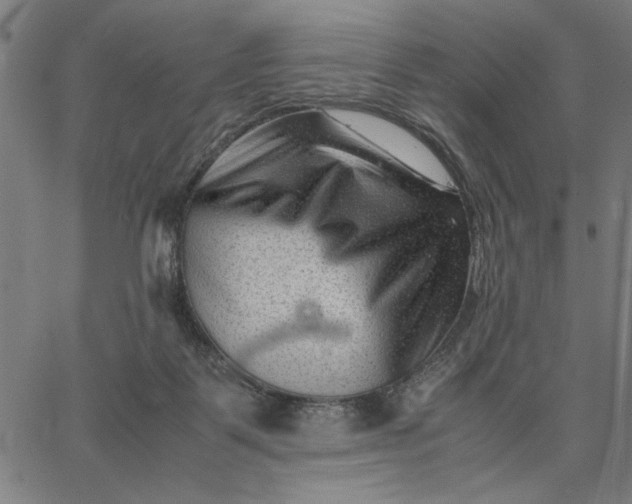 X0000065250123200603031813