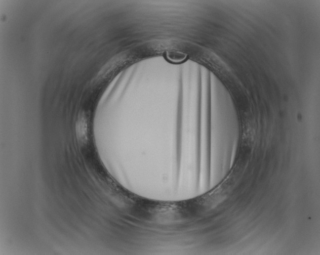 X0000065250124200603031813