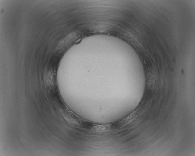 X0000065250126200603031813