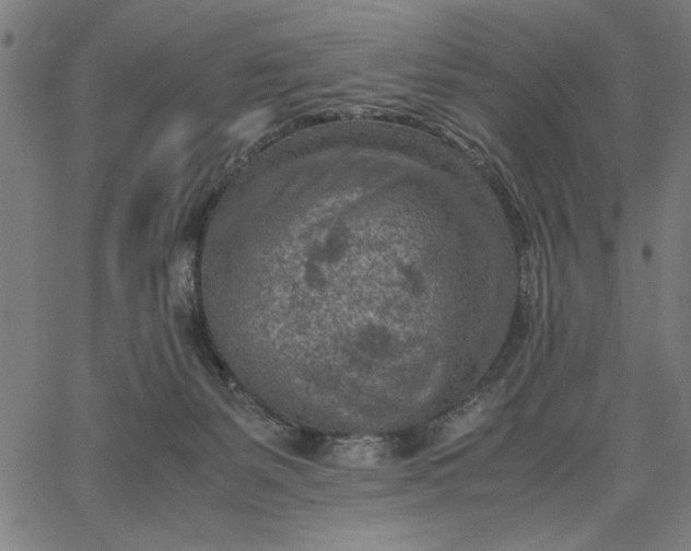 X0000065250127200603031813