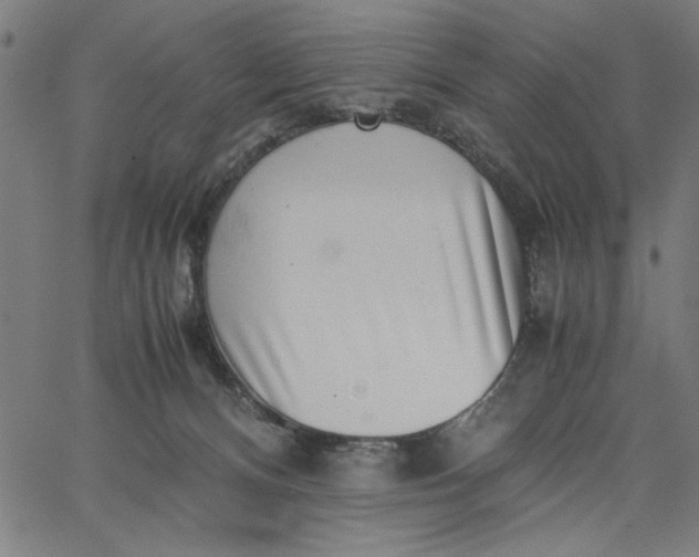 X0000065250128200603031813