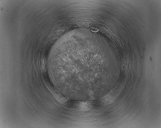 X0000065250130200603031813