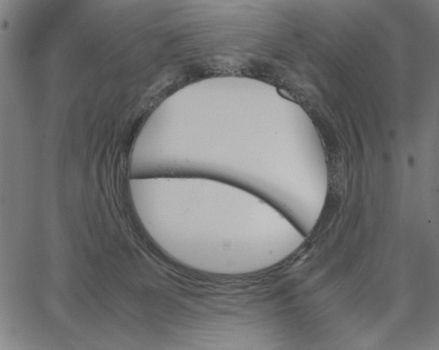 X0000065250131200603031813