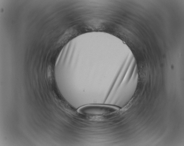 X0000065250132200603031813