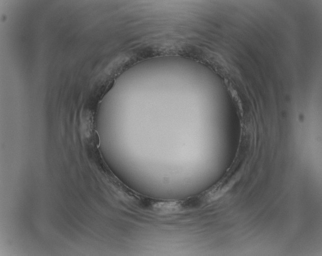 X0000065250133200603031813