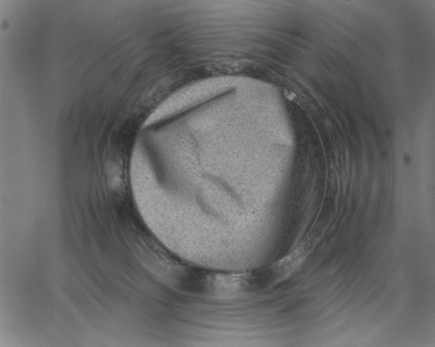 X0000065250134200603031813