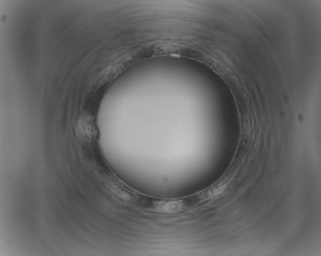 X0000065250135200603031813