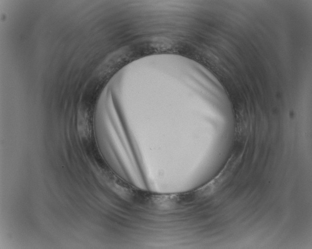 X0000065250136200603031813