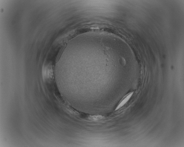 X0000065250137200603031813