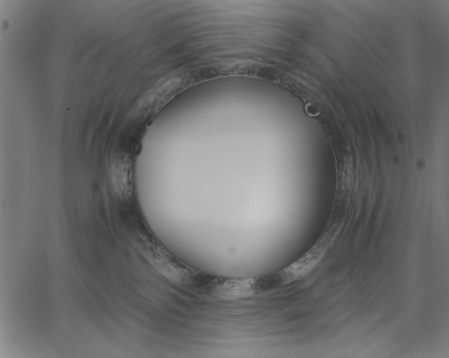 X0000065250138200603031813