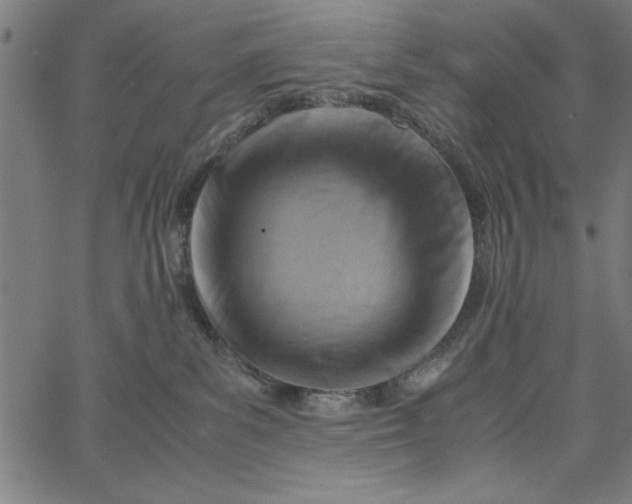 X0000065250139200603031813