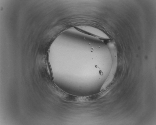 X0000065250141200603031813