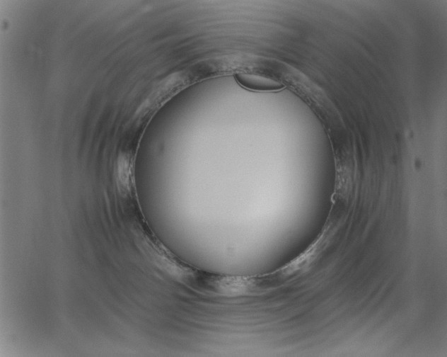 X0000065250142200603031813