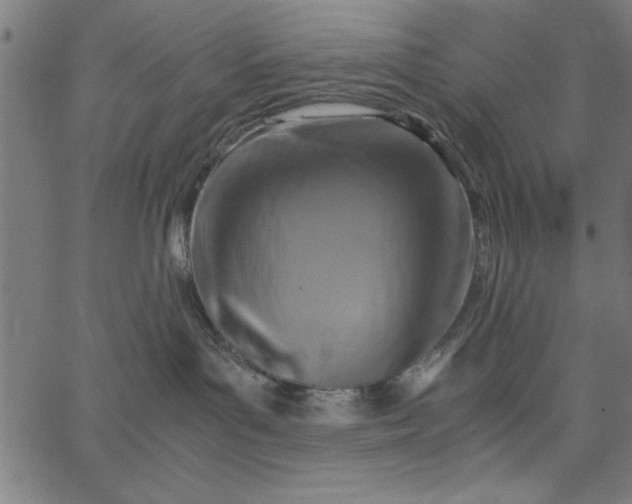 X0000065250143200603031813