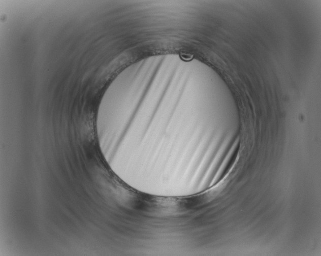 X0000065250144200603031813