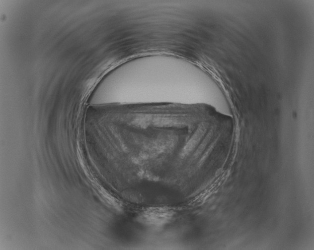 X0000065250145200603031812