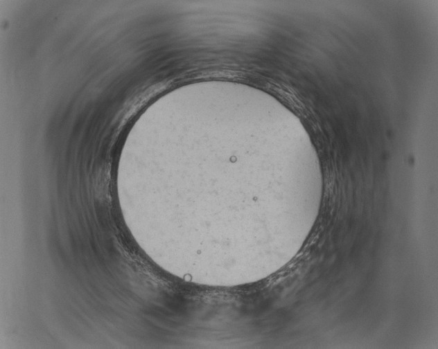 X0000065250146200603031812