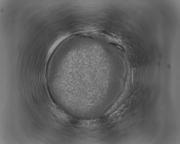 X0000065250147200603031812