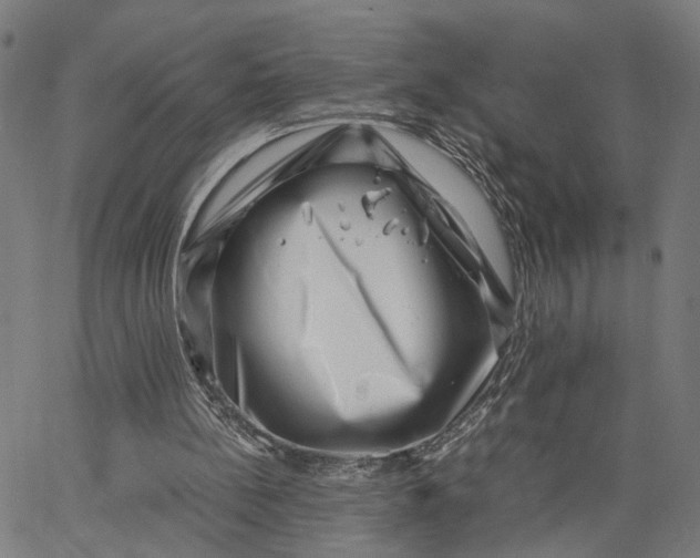 X0000065250148200603031812