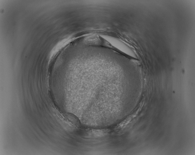 X0000065250149200603031812