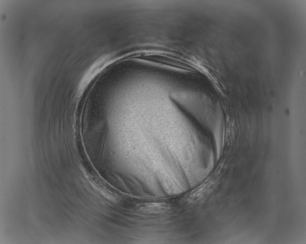 X0000065250151200603031812