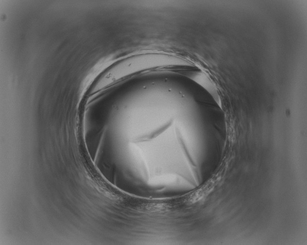 X0000065250152200603031812