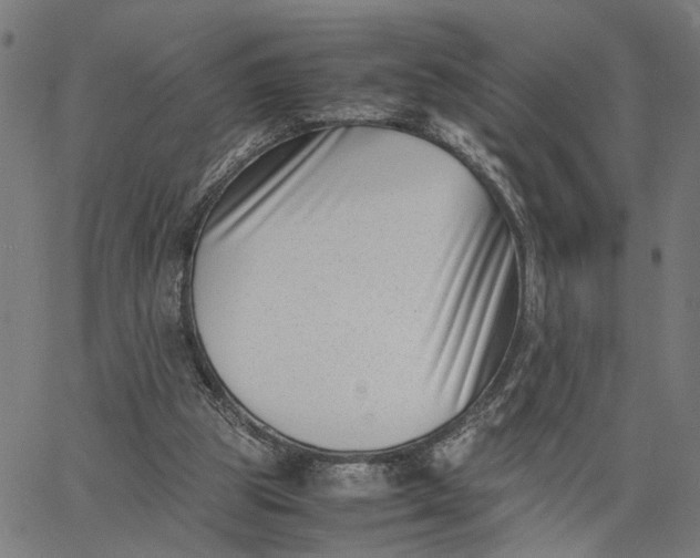 X0000065250153200603031812