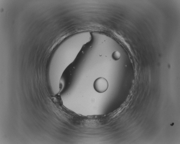 X0000065250154200603031812