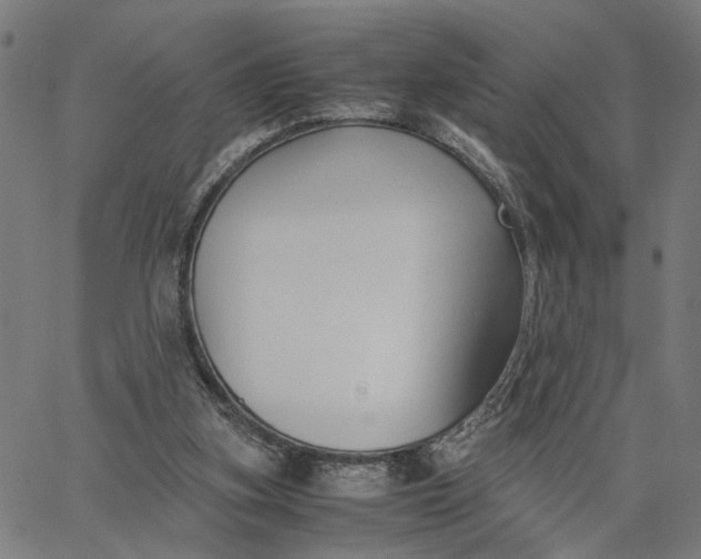 X0000065250155200603031812