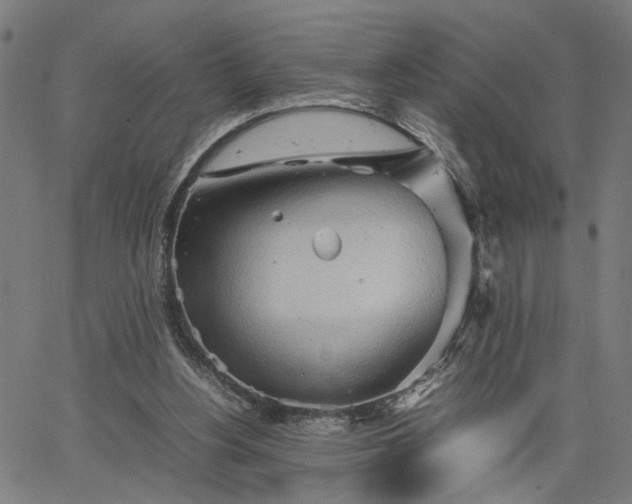 X0000065250156200603031812