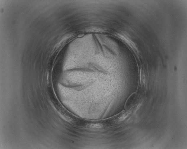 X0000065250157200603031812