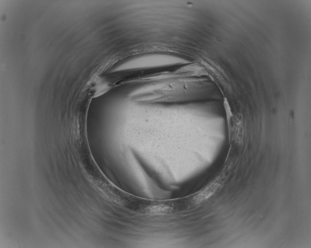 X0000065250158200603031812