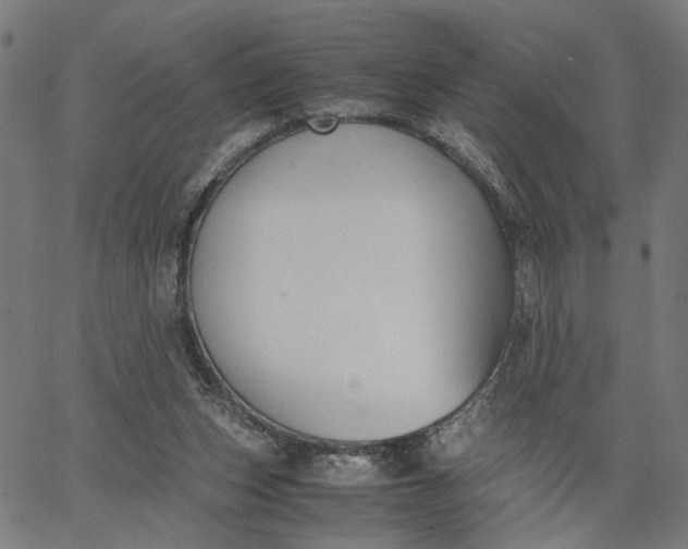 X0000065250159200603031812