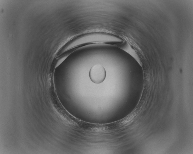 X0000065250160200603031812