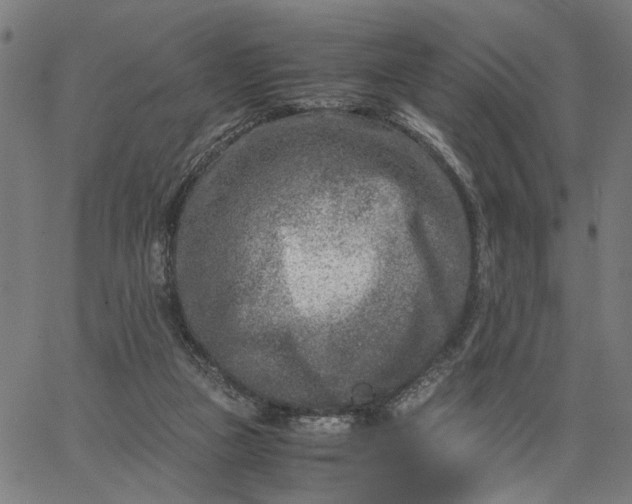 X0000065250161200603031812