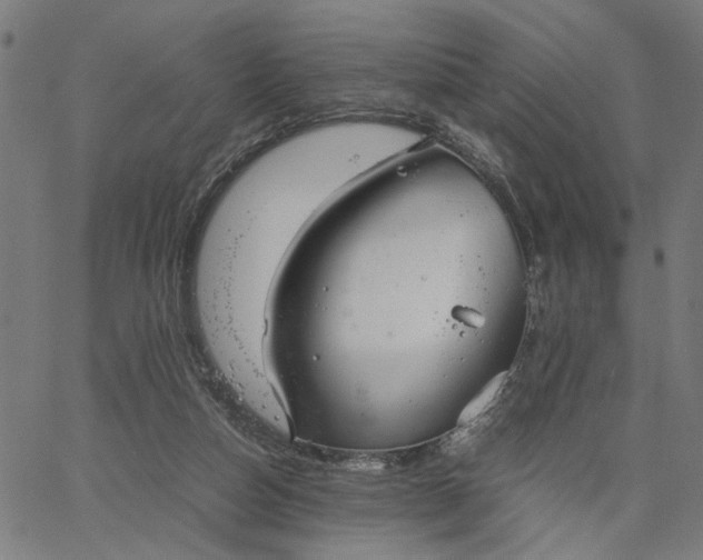 X0000065250162200603031812