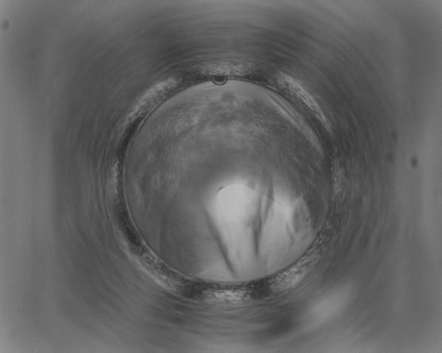 X0000065250163200603031812