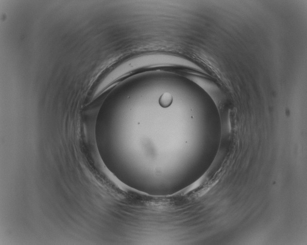 X0000065250164200603031812