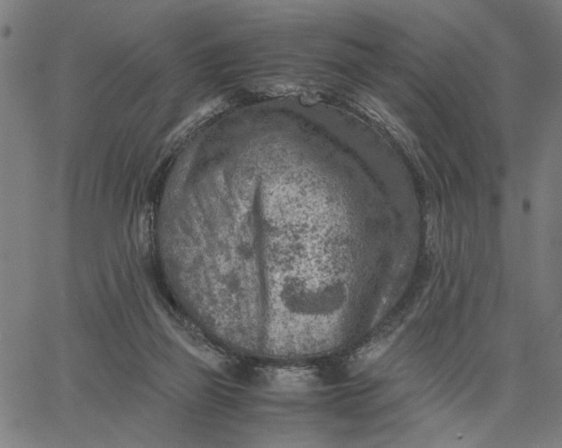 X0000065250165200603031812