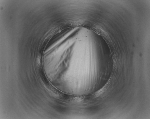 X0000065250166200603031812