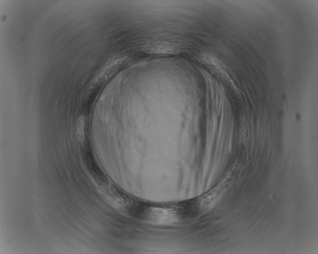 X0000065250167200603031812