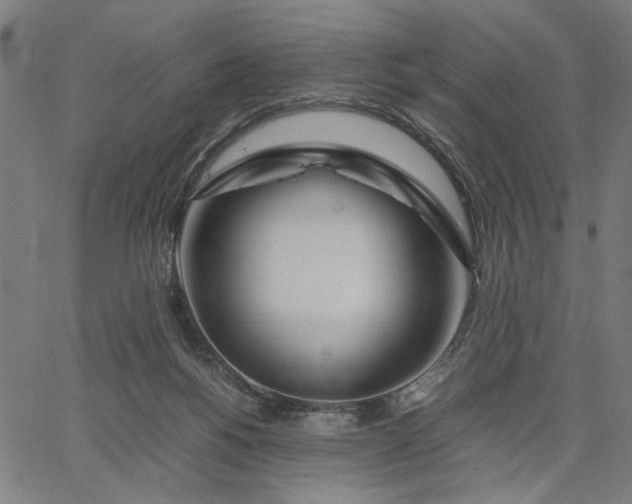 X0000065250168200603031812