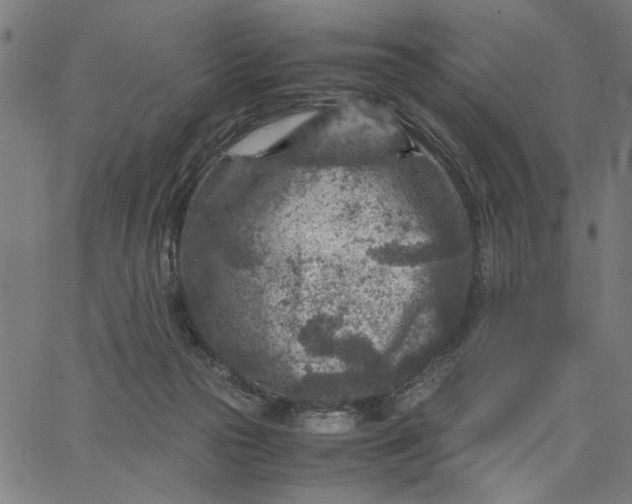 X0000065250169200603031812