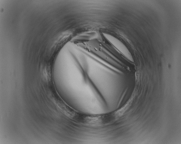 X0000065250170200603031812