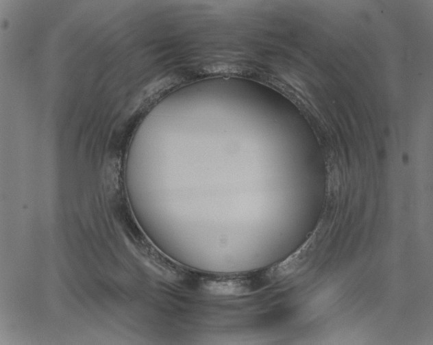 X0000065250171200603031812