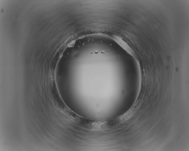 X0000065250172200603031812