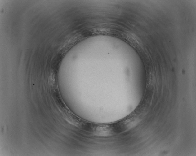 X0000065250173200603031812