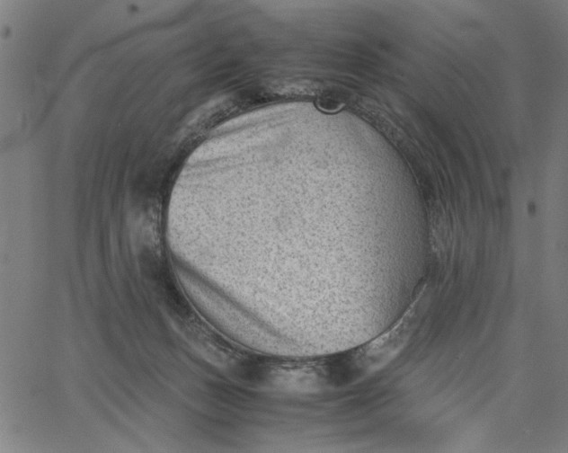 X0000065250175200603031812